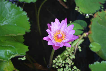 Similar image 8274097