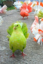 Similar image 8274098