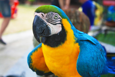 Similar image 8274101