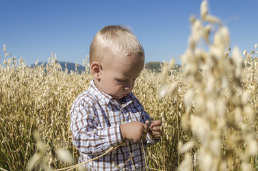 Similar image 8274163