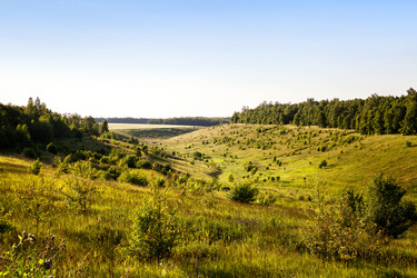 Similar image 8274164