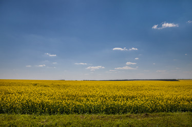 Similar image 8274165