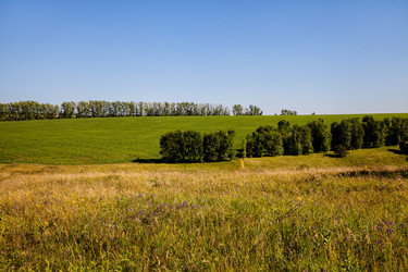 Similar image 8274167