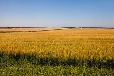 Similar image 8274168