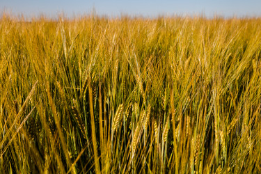 Similar image 8274169