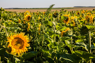 Similar image 8274170