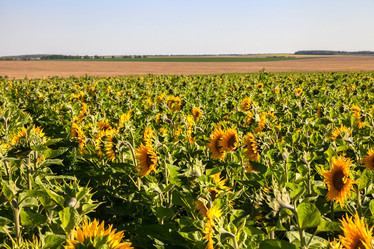 Similar image 8274171