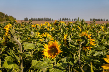 Similar image 8274172