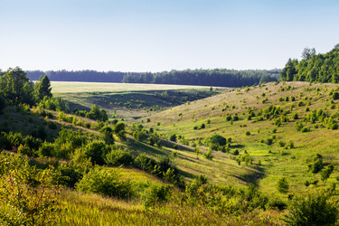 Similar image 8274173