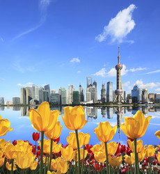 Similar image 8274331