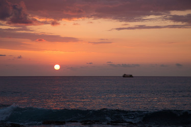 Similar image 8274344