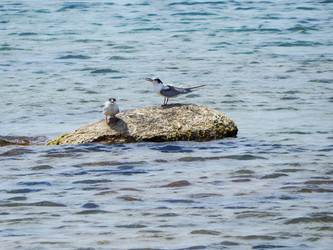 Similar image 8274349