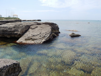 Similar image 8274350