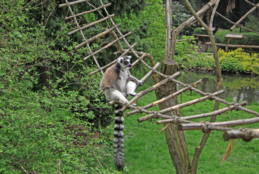 Similar image 8274353