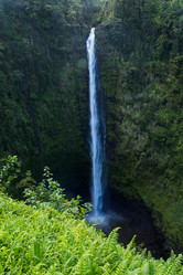 Similar image 8274386