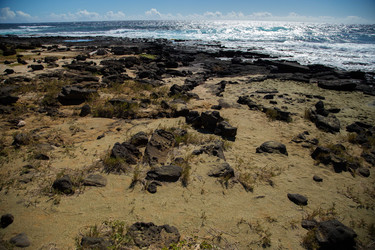 Similar image 8274447