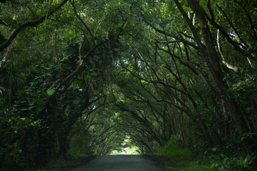 Similar image 8274462