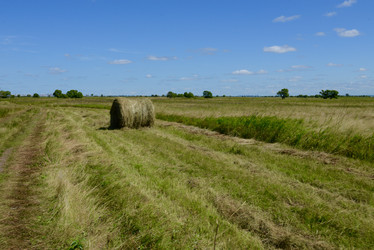 Similar image 8274483