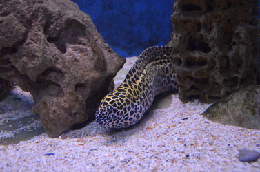 Similar image 8274486