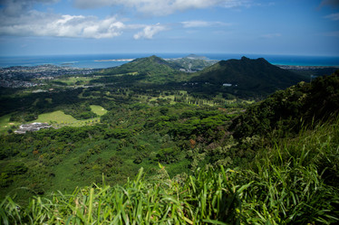 Similar image 8274500