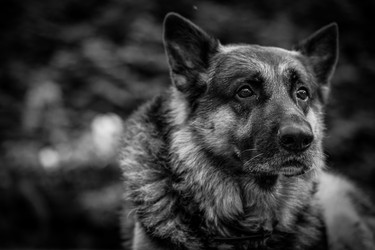 Similar image 8274522