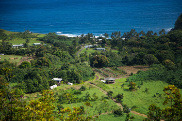 Similar image 8274542