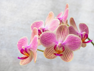 Similar image 8274551