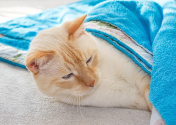 Similar image 8274606