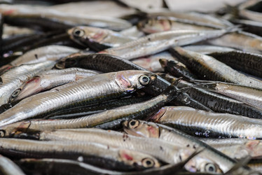 Similar image 8274789