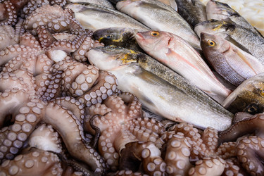 Similar image 8274790