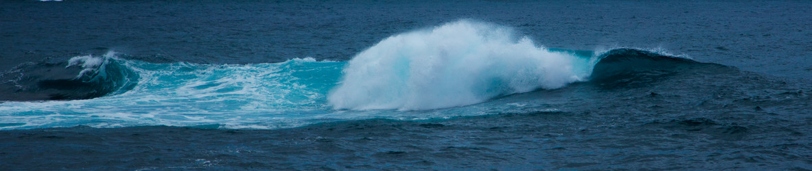 Similar image 8274804