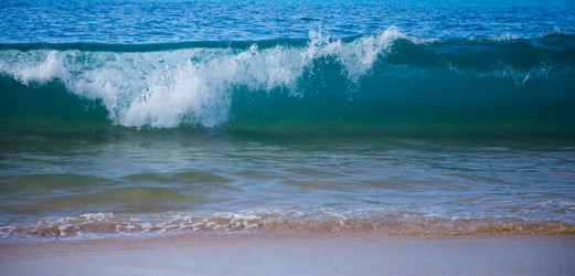 Similar image 8274816