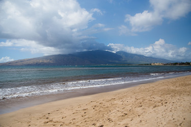 Similar image 8274841