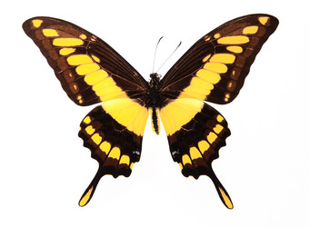 Similar image 8274863