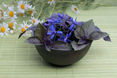 Similar image 8275107