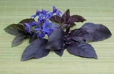 Similar image 8275108