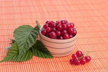 Similar image 8275109