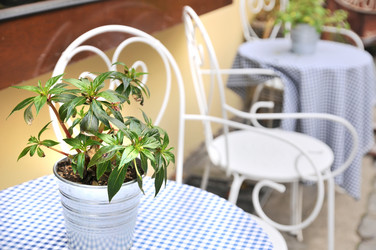 Similar image 8275111