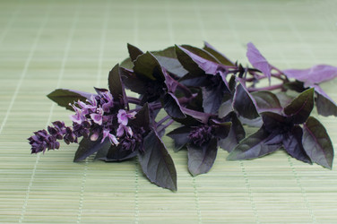 Similar image 8275130