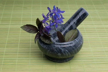 Similar image 8275131