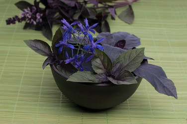 Similar image 8275132