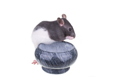 Similar image 8275140