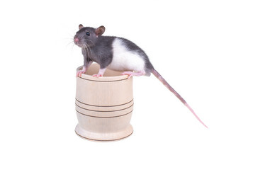 Similar image 8275143