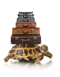 Similar image 8275256