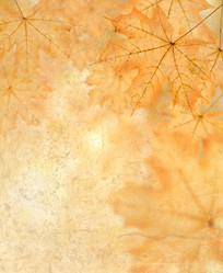 Similar image 8275259