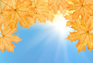 Similar image 8275266