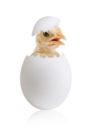 Similar image 8275285