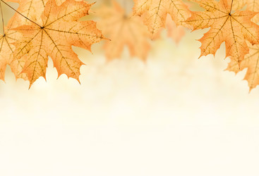 Similar image 8275326