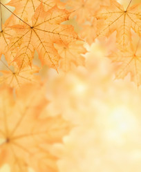 Similar image 8275331