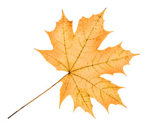 Similar image 8275387